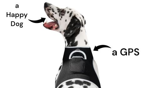 Wireless GPS Tracking Collars for Hunting Dogs Realtime Tracking Tool Size:XXL