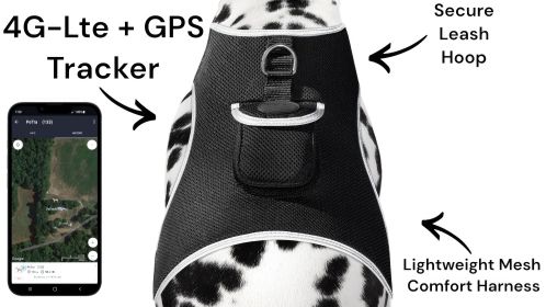 Wireless GPS Tracking Collars for Hunting Dogs Realtime Tracking Tool Size:XS