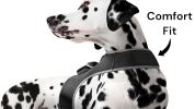 Hunting Made Easy w/ NEW Pet Tracker GPS Tracking Collars for Hunting Dogs Size:M