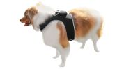 Pet Tracker Realtime GSM GPS Tracking Collars for Hunting Dogs Waterproof Size:XS