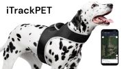 Pet Tracker Realtime GSM GPS Tracking Collars for Hunting Dogs Waterproof Size:XS