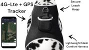 Long Range Tracking Pet Tracker GSM GPS Tracking Collars for Hunting Dogs Size:XL