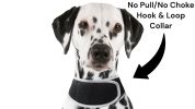 Broad GPS GSM Coverage Wireless Pet Tracking Collars for Hunting Dogs Size:XL