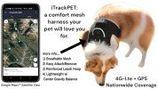 Long Range Tracking Pet Tracker GSM GPS Tracking Collars for Hunting Dogs Size:XL