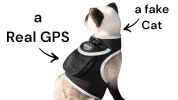 Long Range Tracking Pet Tracker GSM GPS Tracking Collars for Hunting Dogs Size:XL