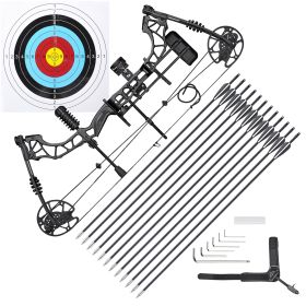 Adult professional compound bow (Color: as picture)